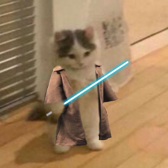 brookskenobi